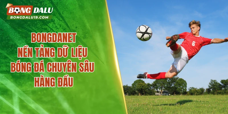 Bongdanet – Nền Tảng Dữ Liệu Bóng Đá Chuyên Sâu Hàng Đầu